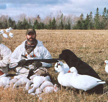 voisin chasseur