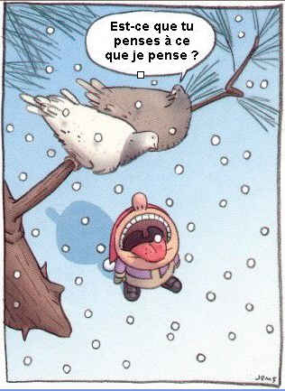 pigeons neige