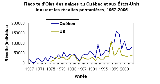 Récolte d’Oies des neiges