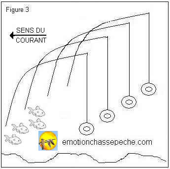 Technique de pêche dans le courant