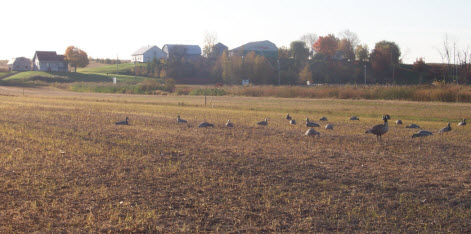 Chasse du matin - Sarcel