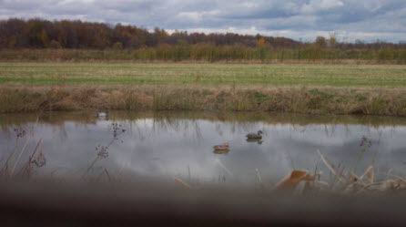 Chasse en après midi - Sarcel