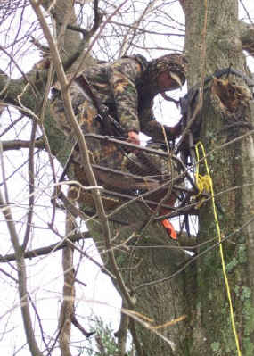 Installation tree-stand