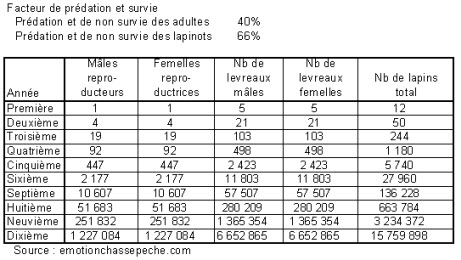 Vitesse de reproduction du lièvre réalité