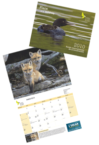 Calendrier 2010 - Fondation de la faune du Québec